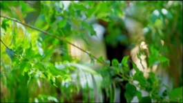 Jaadu Teri Nazar Daayan Ka Mausam - 17th May 2025